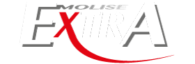 extra molise